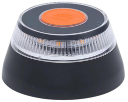 F168 – G-LEKO, NEW SCIENCE